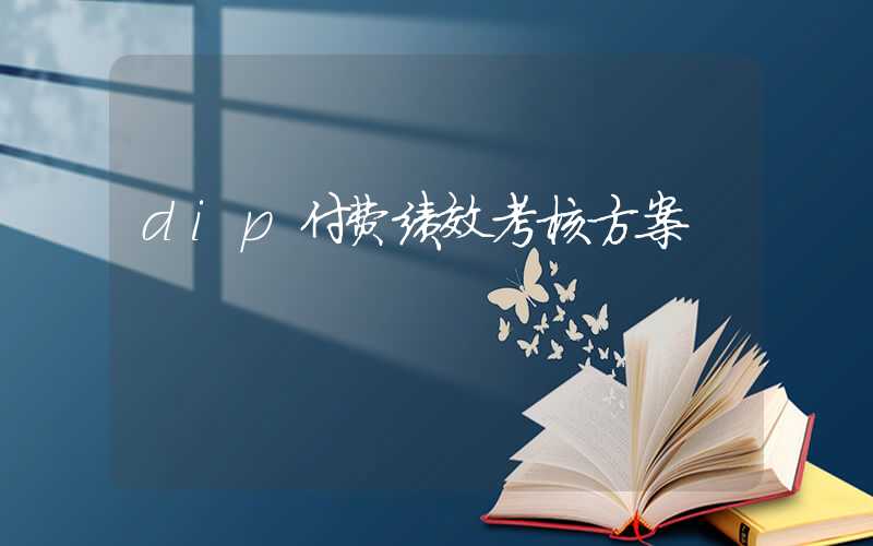 dip付费绩效考核方案