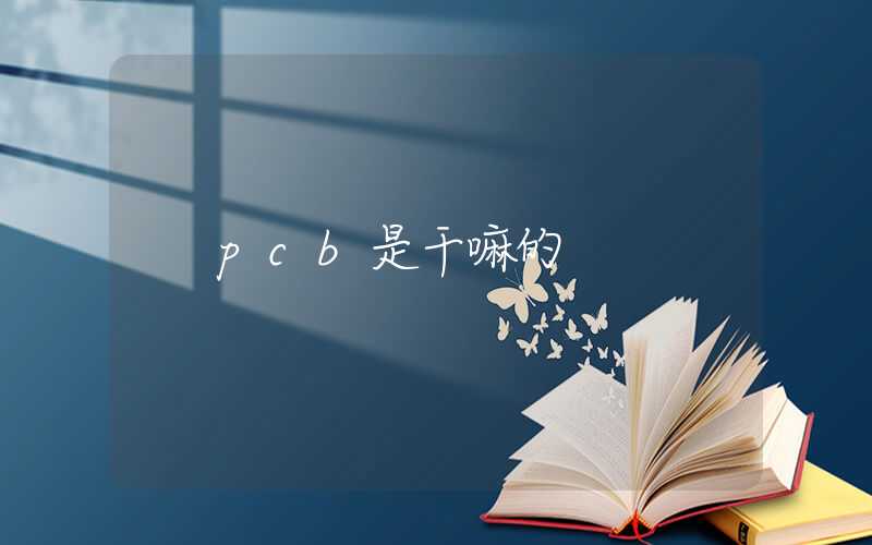 pcb是干嘛的