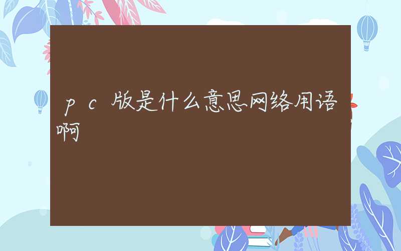 pc版是什么意思网络用语啊