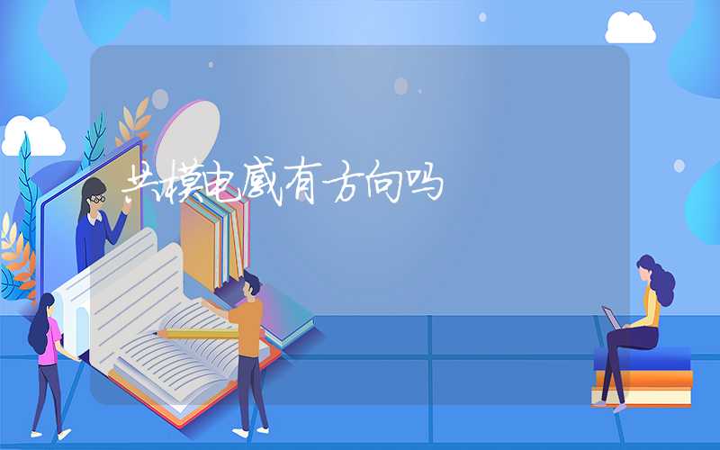 共模电感有方向吗