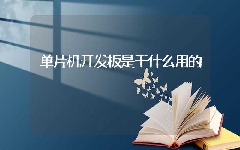 单片机开发板是干什么用的