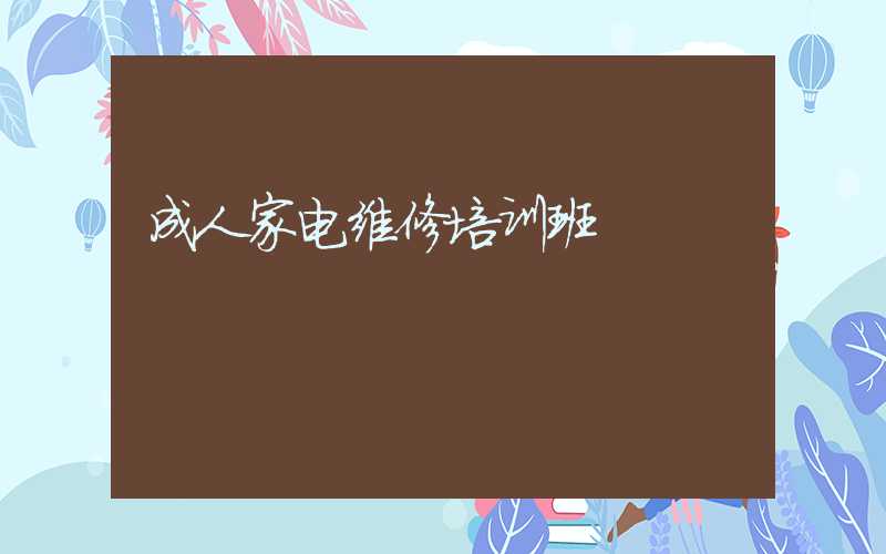 成人家电维修培训班