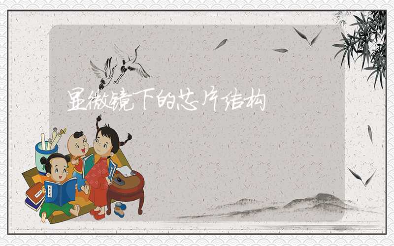 显微镜下的芯片结构