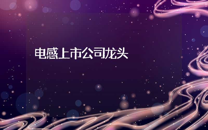 电感上市公司龙头
